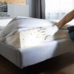 شركة مكافحة الصراصير بالاحساء